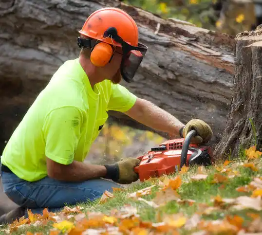 tree services Kenilworth